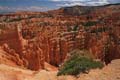 bryce canyon - utah - usa 001